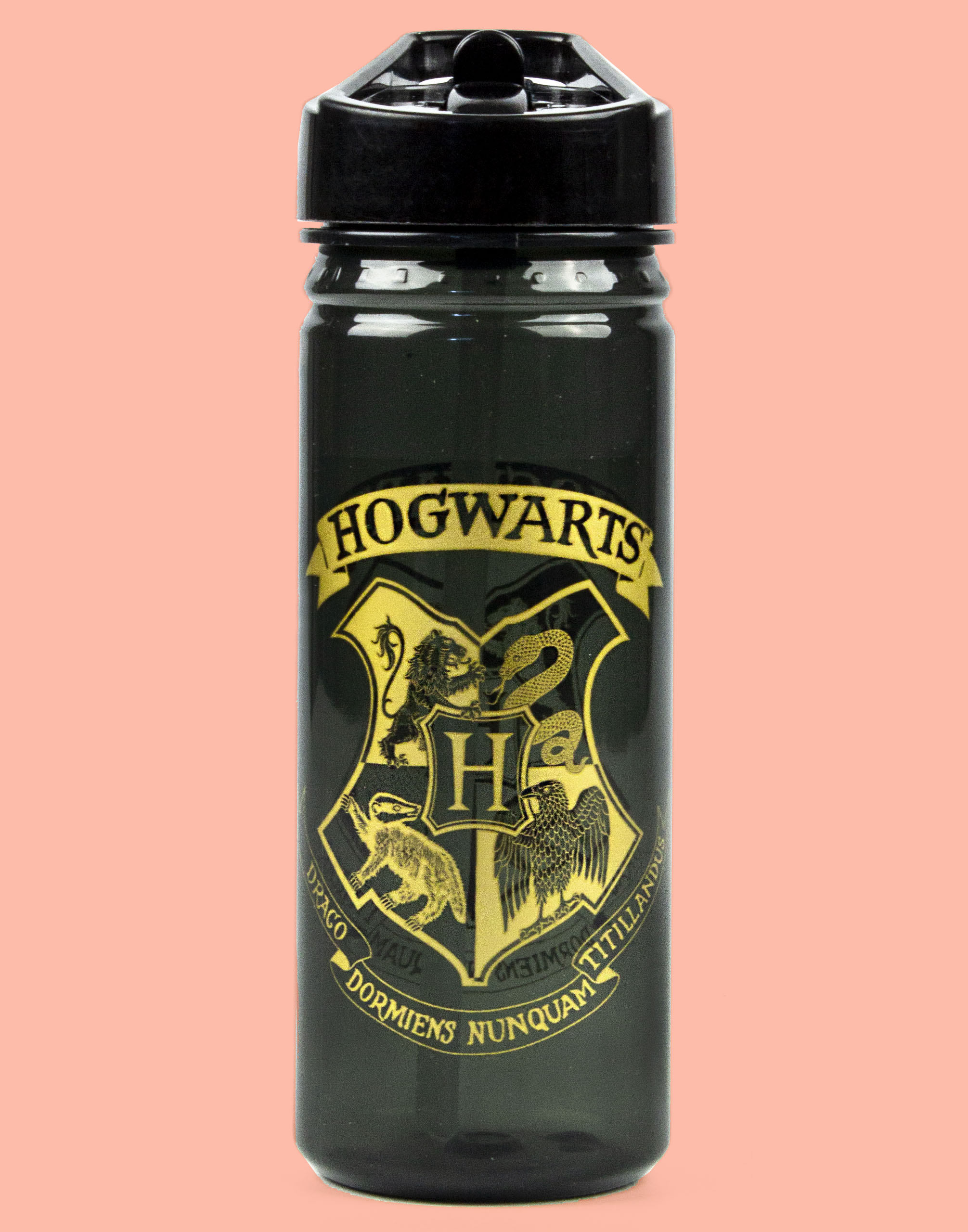 Harry Potter Lunch Box & Water Bottle Hogwarts School Sipper Bottles